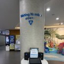 오늘유치원 | 일산 아이와가볼만한곳 물고기 동물 곤충 모여있는 아쿠아플라넷 일산