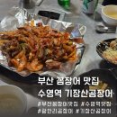 대청기장산곰장어 | 부산여행 수영역 근처 꼼장어 맛집 기장산곰장어 방문 후기