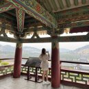 [야간] 생활한복만들기 | 부여 백제문화단지 한복, 입장료, 운영시간, 야간개장, 사비로열차, 전기어차 총정리