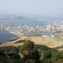 제주향기부동산중개 | 제주특별자치도 부동산중개업소현황