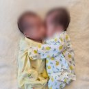 딩동세종 협동조합 | 세종 산후도우미 업체 케어믹스 후기 및 관리사님 추천