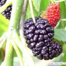 경식농장 이미지