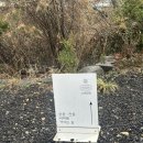 산온잔등 네이버블로그