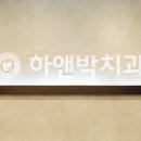 하앤박치과의원 이미지