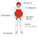 효자¡태권도 이미지
