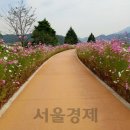 하동공원길 이미지