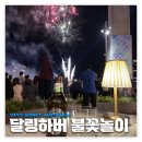 닭권브이치킨 | 호주여행: 시드니 달링하버 불꽃놀이 | 일정 시간 명당 추천 후기