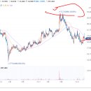 주식회사디오와이 티스토리