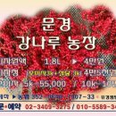 문경오미자강나루농장 생오미자 오미자청 오미자원액판매가격입니다 이미지