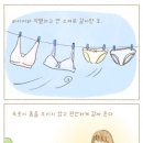협동조합 감좋은공방 이미지