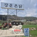 강운식당