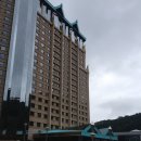 메인호텔 Daum카페
