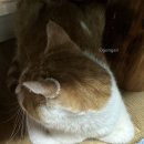 홀라닭강정 | 🌱☀️8.31.~9.12. 평범하지만 나름 스펙타클했던 9월 기록(삼돈식당/엔씨파크/NC-롯데/2023창원블루베이...