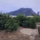 담모라호텔 이미지