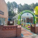 배재대학교부속어린이집 이미지