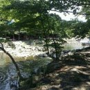 늘소나무산장 이미지