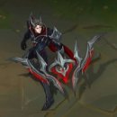 바이메딕 이미지