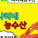 나리네집