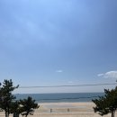 노성반점 이미지
