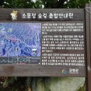 소통령 이미지