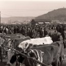 object의 신화 이미지