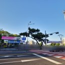 동문로터리, 동문시장 (관덕정방면) 이미지