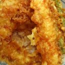 고니지니 이미지