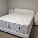 독정이로 이미지