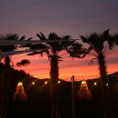 코스타리몬 이미지