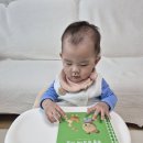 베베농장 | 책육아 시작하는 돌아기책 베베코알라 생활동화 APP으로 활용하기