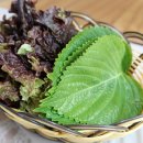 해변짚불곰장어 이미지