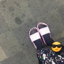 서울대 아고라 이미지