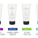 크림더모먼츠