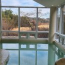 희베희베 | 기장 희베희베 키즈풀빌라 1박 내돈내산 후기