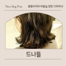 섬세 | 광명사거리미용실 드나들 정민 디자이너 커트 후기, 섬세함에 반했어용