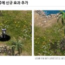 다엘안 이미지