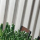 안먹고못배기는집 이미지