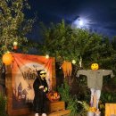 디로버스테이 이미지