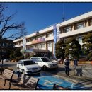 아담행정사 이미지