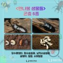 장승포초등학교병설유치원 이미지