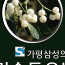 가평삼성의원 이미지