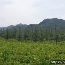 좌운농원