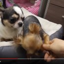 재왕 농장 이미지