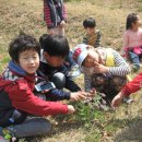 옥산초소로분교 이미지