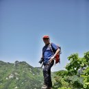 치게봉 티스토리