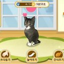 고양이다방 이미지