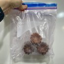 (주)ST에너지 | 코스트코 양평점 장보기 11월 셋째주, 넷째주 볶음짬뽕 생미쉘 신상과자