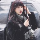 조이헤어코디