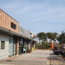 준뽕 | 화성시 준뽕 중화요리 ㅣ 새솔동 맛집 ㅣ (내돈내산)
