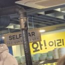와!이리좋은소가